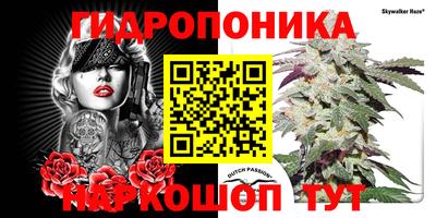 мдпв Кунгур