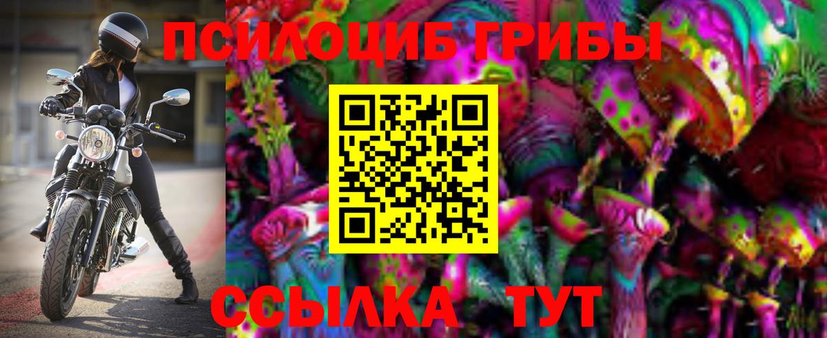 Галлюциногенные грибы Psilocybe Дзержинский