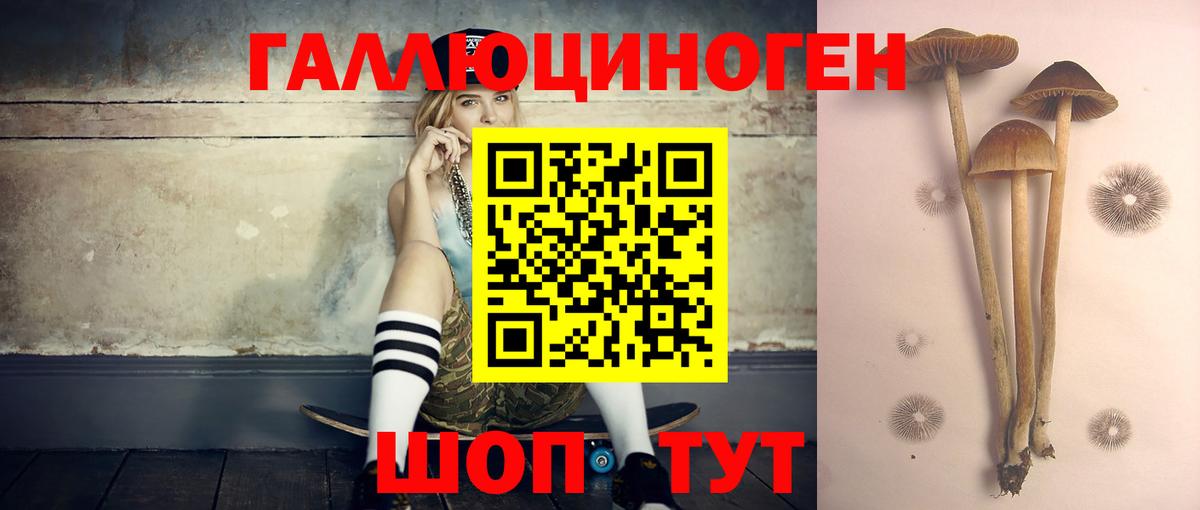 Псилоцибиновые грибы мицелий  Галлюциногенные грибы Psilocybe  Дзержинский  Вход с VPN 